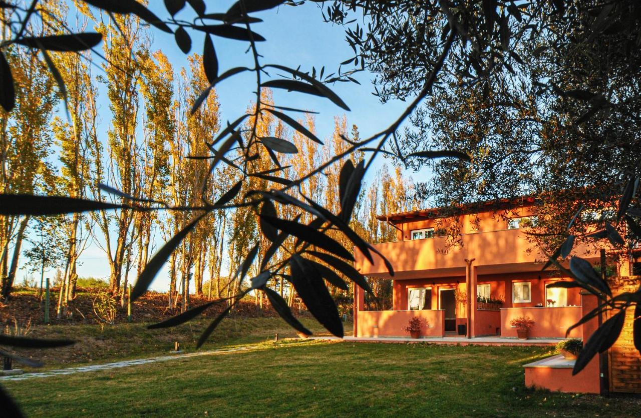 Tenuta Bussete Country Hotel 维泰博 外观 照片
