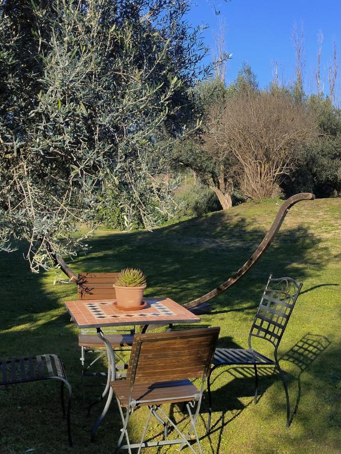 Tenuta Bussete Country Hotel 维泰博 外观 照片